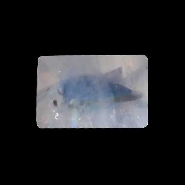 Rainbow Moonstone - 0.80 Carats